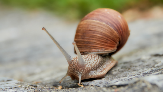 Zwolnij Rytm (powtórka)