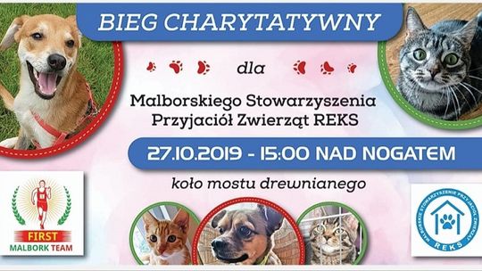 Aktywnie i charytatywnie - 26 października odbędzie się bieg "Dla Reksa"