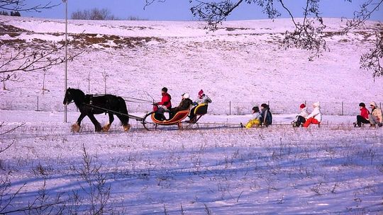 Bezpieczny kulig. Sztumscy policjanci przypomiają zasady bezpieczeństwa.