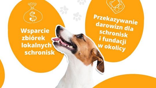 Fundacja Zoodoptuj.pl w Malborskim Stowarzyszeniu Przyjaciół Zwierząt REKS