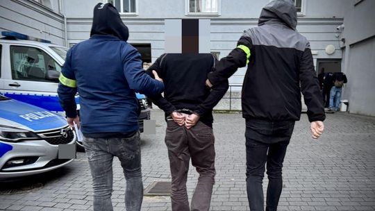 Gdańsk/ powiat malborski. Odpowiedzą za kradzieże samochodów i paserstwo.