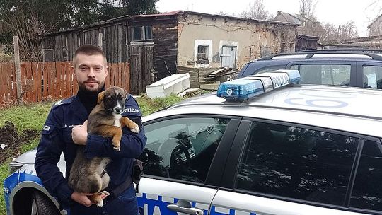 Gmina Nowy Staw. Policjant przygarnął porzuconego psa