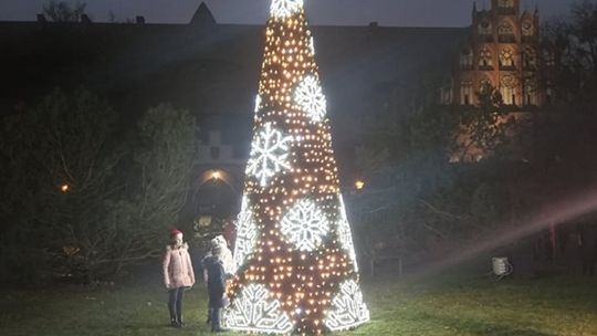 Iluminacja świątecznej choinki i wspólne kolędowanie przy malborskim zamku.