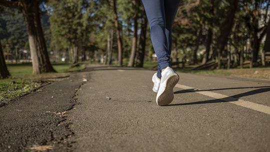 Kolejny parkrun na malborskim bulwarze im. Macieja Kilarskiego.