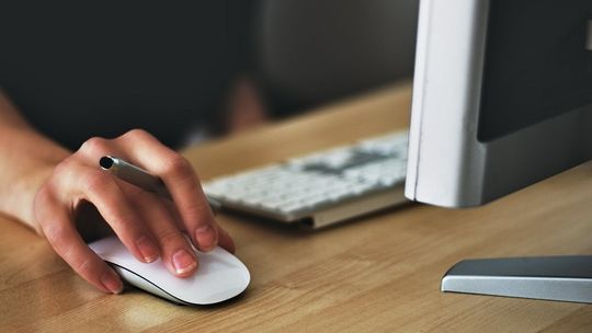 Kompetencje medialne - bezpłatne warsztaty w Szkole Łacińskiej