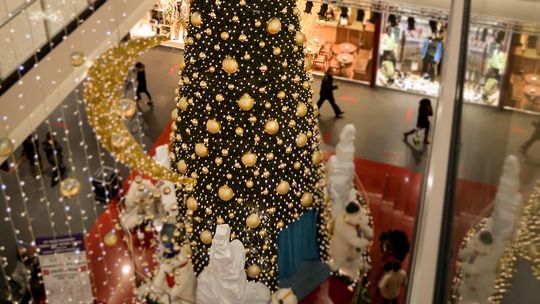 Malbork. Bezpieczne zakupy przedświąteczne. Nie daj się oszukać i zadbaj o bezpieczeństwo.