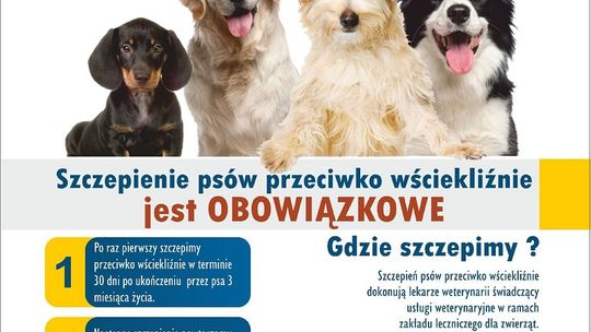 Malbork. Pamiętajmy o obowiązkowych szczepieniach ochronnych psów i kotów przeciwko wściekliźnie.