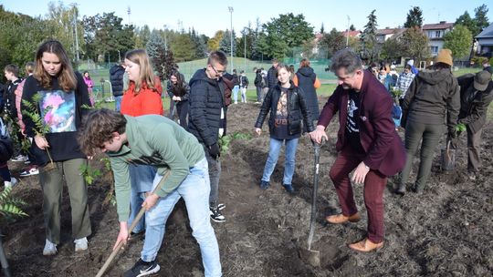 Malbork. Ponad 100 drzewek na placu Zygmunta Bukalskiego na Wielbarku.