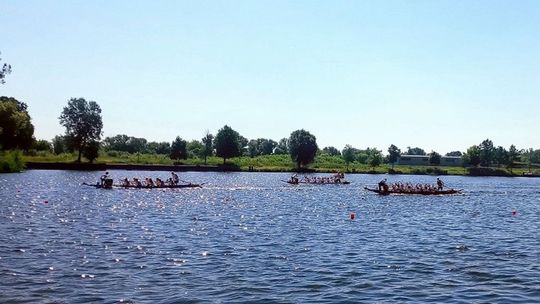 Malbork. Zawody wyścigów łodzi smoczych w ramach Pucharu Polski