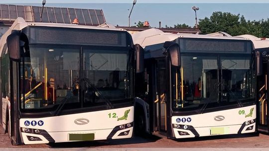 Malbork. Zmiany w kursowaniu autobusów w związku z pracami drogowymi – 30 maja.