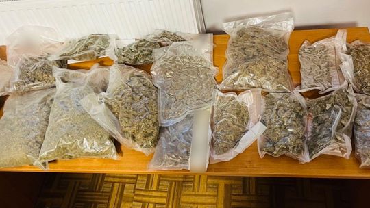 Malborscy kryminalni zabezpieczyli ponad 3 kilogramy suszu roślinnego.