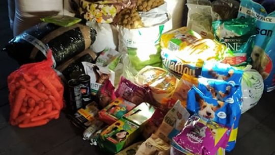 Malborskie Morsy pomagają! Wsparcie dla Zwierząt nad Potokiem.