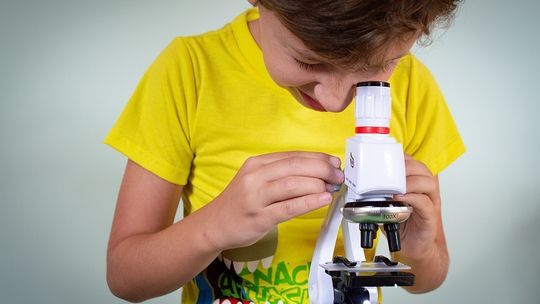 Miasto Malbork otrzyma wsparcie w ramach programu "Laboratoria przyszłości"