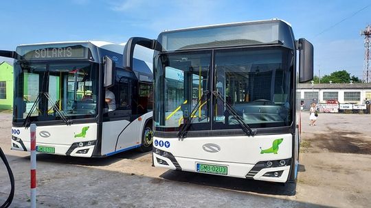 MZK gotowe na Wszystkich Świętych - przewoźnik szykuje dodatkowe kursy autobusów