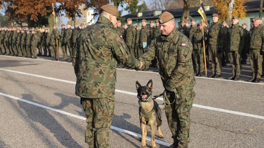Nietypowy awans u pomorskich Terytorialsów