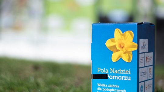 Pola Nadziei na Pomorzu. Malborskie Centrum Wolontariatu poszukuje wolontariuszy.