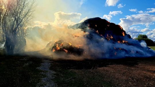 Policjanci z Komisariatu Policji w Nowym Stawie ustalili sprawców podpalenia w Pordenowie.