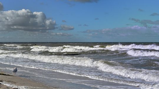 "Ponad połowa Polaków dostrzega problem zanieczyszczenia plaż i wód Bałtyku"