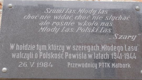 🎧Posłuchaj: 85 lat „Młodego Lasu”. Wystawa i publikacja upamiętnią niezwykłą historię w Malborku.