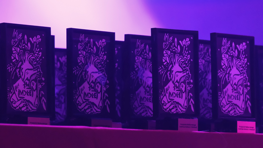 🎧Posłuchaj: Aleją Gwiazd – Złoty jubileusz MCKiE!