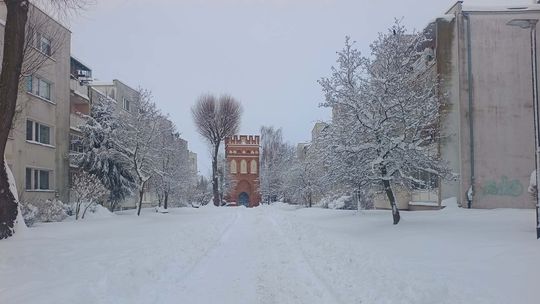 🎧Posłuchaj: Jak wygląda sytuacja w powiecie malborskim po intensywnych opadach śniegu?