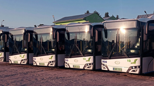 🎧Posłuchaj: Ponad 1,7 mln pasażerów rocznie! Tak wygląda komunikacja miejska w Malborku.