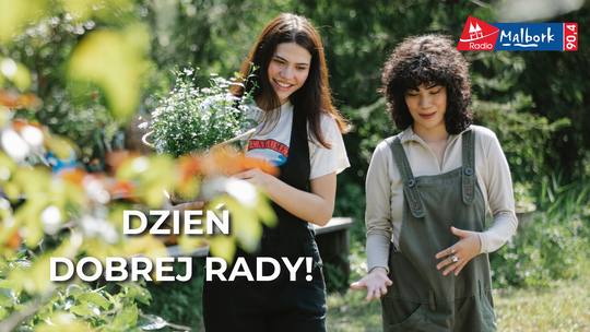 🎧Posłuchaj: Sonda w Dzień Dobrej Rady!