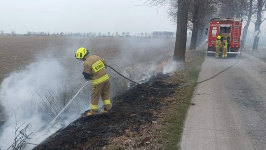 🎧Posłuchaj: Trwa kampania straży pożarnej „Stop Pożarom Traw”.