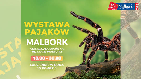 Wygraj podwójne zaproszenie na Wystawę Pająków w Malborku!