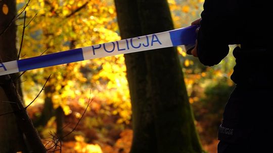 Powiat nowodworski. Nie wszystko, co znajdziesz w lesie, jest bezpieczne.