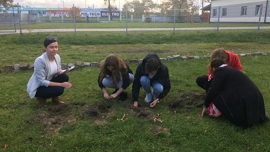 Projekt Krokus w malborskim Technikum nr 3 już po raz trzeci