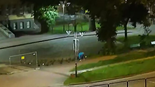 Róże z placu Słowiańskiego zniknęły nocą – teren był monitorowany.
