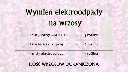 Stare Pole. Wymień elektroodpady na wrzosy.