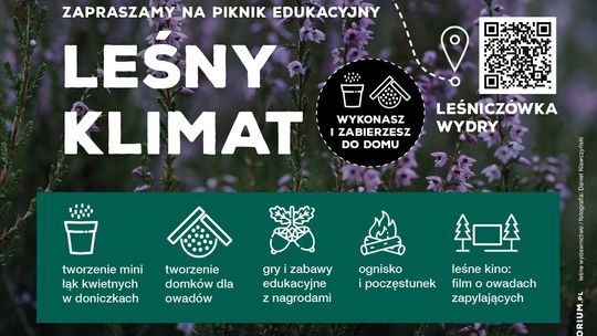 Sztumskie Pole. Piknik Edukacyjny "Leśny Klimat"