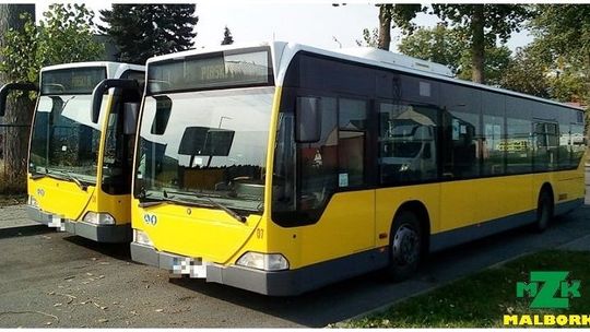 Uprawnienia do bezpłatnych przejazdów autobusami miejskimi w Malborku.