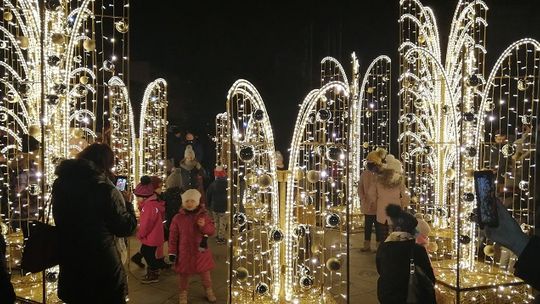 W centrum Malborka można podziwiać nowe iluminacje i miejską choinkę