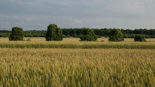 W poniedziałek poznamy najpiękniejszą wieś i zagrodę Pomorza.