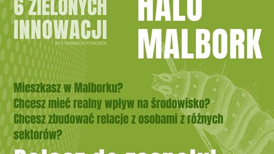 Warsztaty projektowania Zielonych Innowacji w Malborku