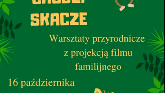 Warsztaty przyrodnicze w Szkole Łacińskiej w Malborku