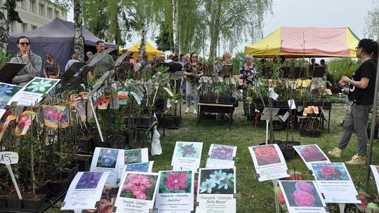 XI Wiosenne Targi Ogrodnicze w Starym Polu odwołane.