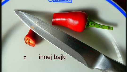 Z INNEJ BAJKI nr 395 już w najbliższy wtorek