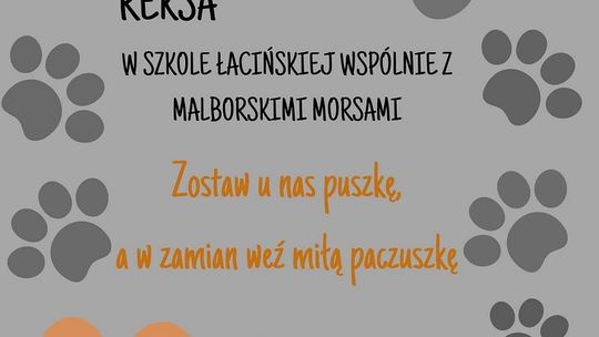 Zbiórka dla "Reksa" w malborskiej Szkole Łacińskiej