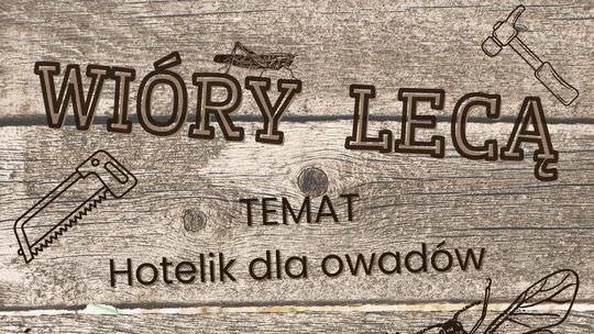 Zbuduj hotelik dla owadów poczas warsztatów w malborskiej Szkole Łacińskiej.