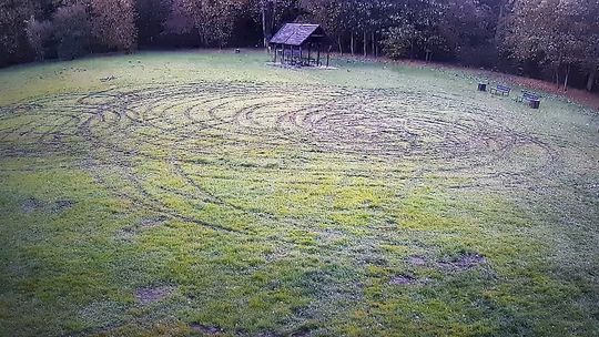 Zniszczona murawa w malborskim Piknik Parku. 