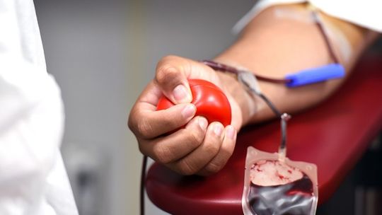 Zobacz, gdzie pojawi się ambulans do poboru krwi w Malborku.