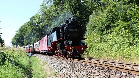 Żuławska Kolej Dojazdowa wraca. Zobacz rozkład na długi weekend majowy.