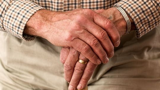 ZUS ostrzega: „Czternastki” coraz bliżej, a oszuści już czyhają