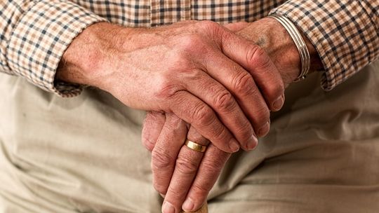 ZUS szykuje kolejne bezpłatne szkolenie - będzie o rentach i emeryturach