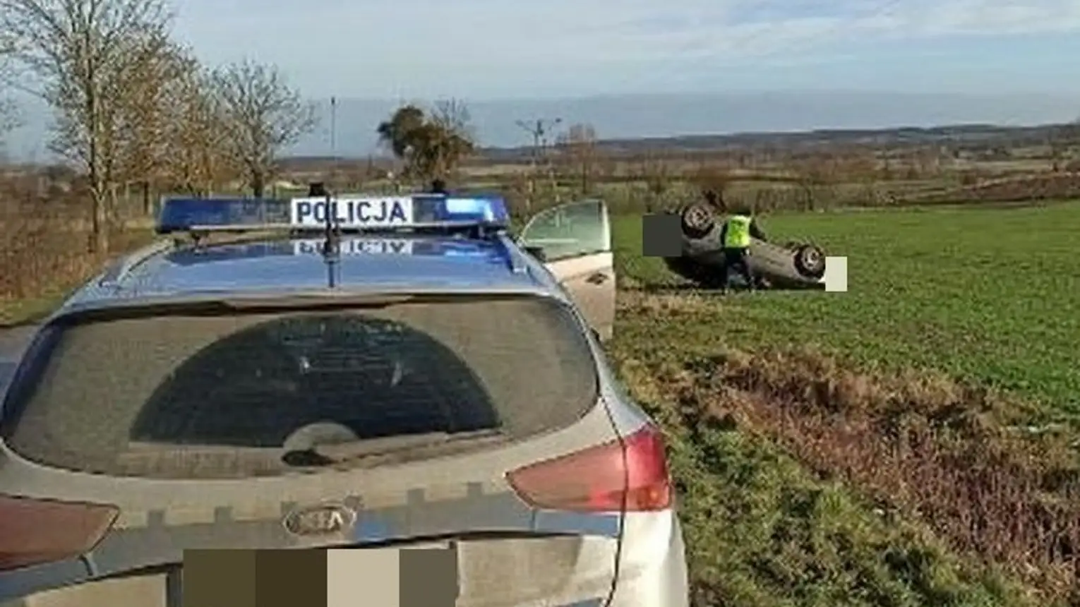Podaj Inne Przykłady Przystosowań Zwierząt Do Warunków Panujących Na Pustyni Sztum. Nie dostosował prędkości do warunków panujących na drodze i dachował