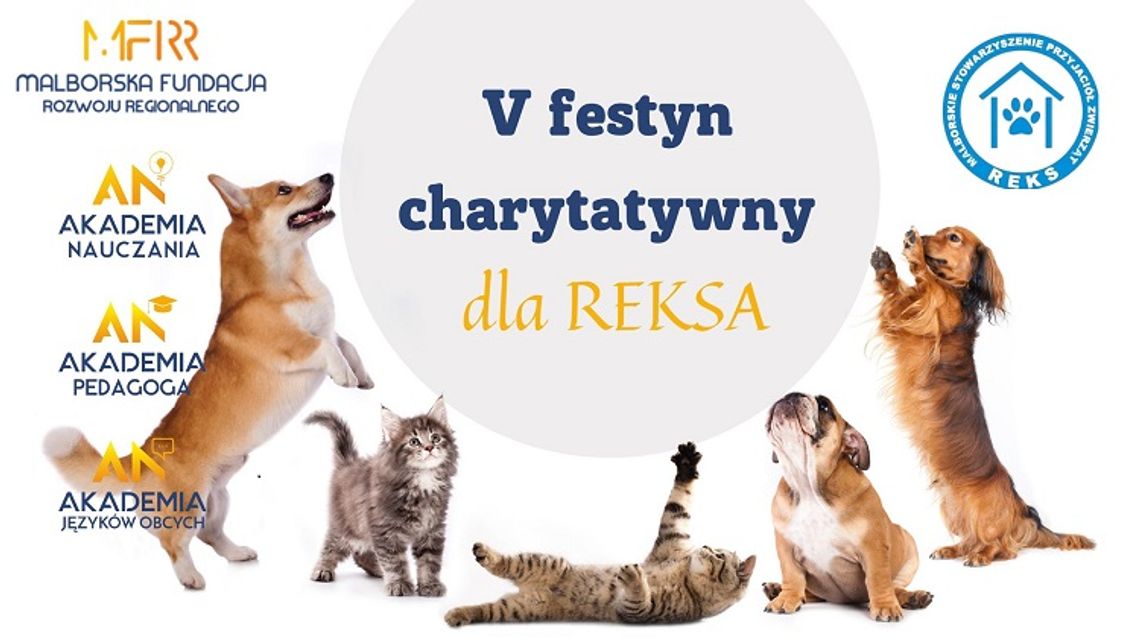 Akademia Nauczania zaprasza na V Festyn Charytatywny dla malborskiego Reksa.